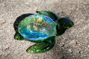 cremation-ash-sea-turtle
